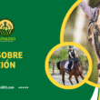 equitacion equina